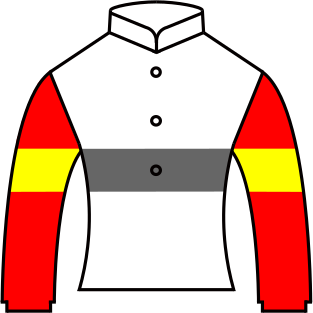 シビックアスコット