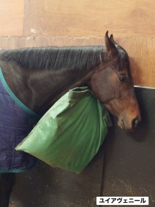 ユイアヴェニール