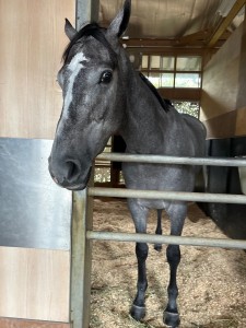 エイプリルインパリ3