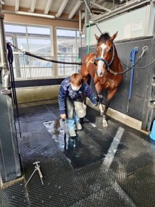 ヒッグスボソン