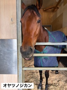 オヤツノジカン2