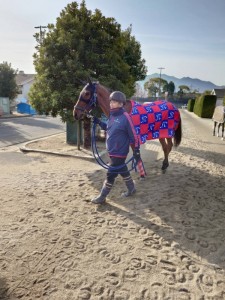 オモイヲノセテ2