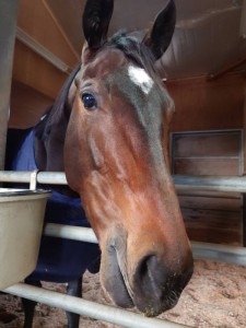 フレットローソ