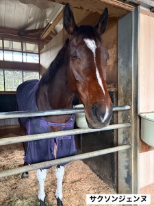 サクソンジェンヌ3