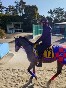 エイプリルインパリ