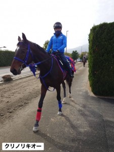 クリノリキオー3