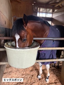 ヒッグスボソン5