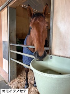 オモイヲノセテ8