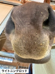 ライトニングロッド2