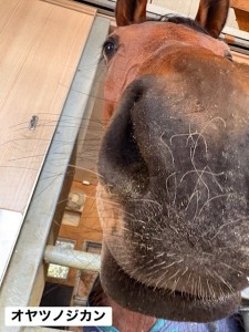 オヤツノジカン3