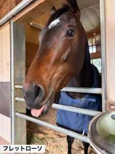 フレットローソ5