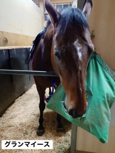 グランマイース