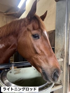 ライトニングロッド