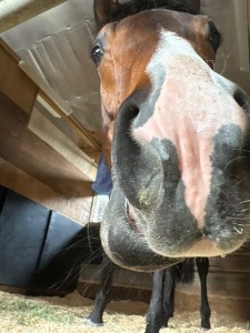 ワンダフルデイズ3