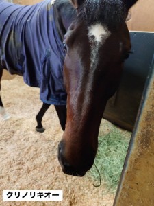 クリノリキオー2