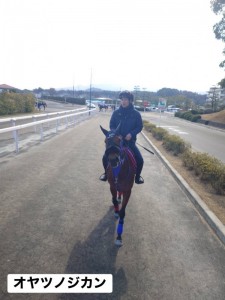 オヤツノジカン