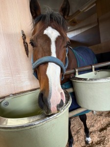 ヒッグスボソン2