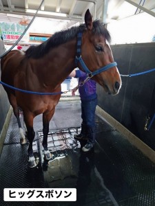 ヒッグスボソン2