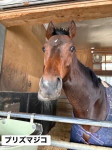 プリズマジコ10