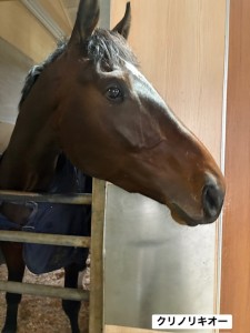 クリノリキオー4