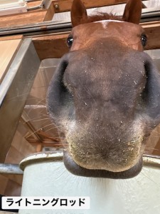 ライトニングロッド4