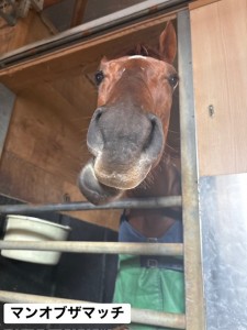 マンオブザマッチ2