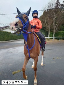 メイショウリリー5