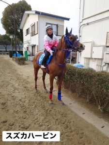 スズカハービン