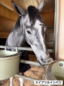 エイプリルインパリ3