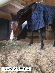 ワンダフルデイズ6