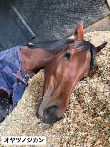 オヤツノジカン2