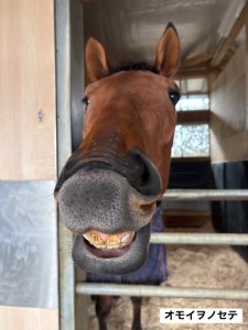 オモイヲノセテ2