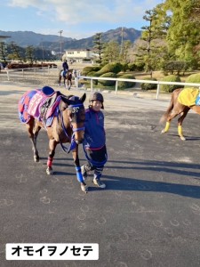 オモイヲノセテ