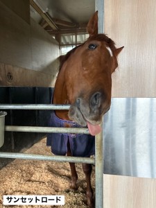 サンセットロード9