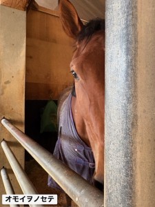 オモイヲノセテ4