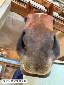 ライトニングロッド2