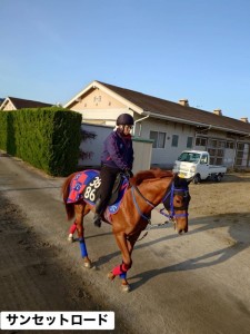 サンセットロード11