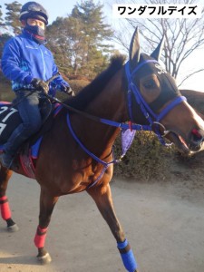 ワンダフルデイズ