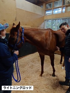 ライトニングロッド