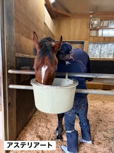 アステリアート13