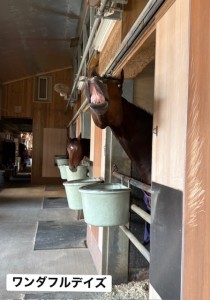 ワンダフルデイズ2