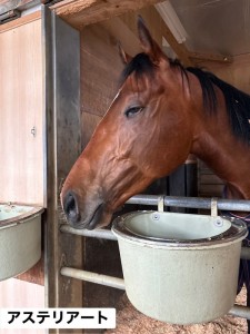 アステリアート12